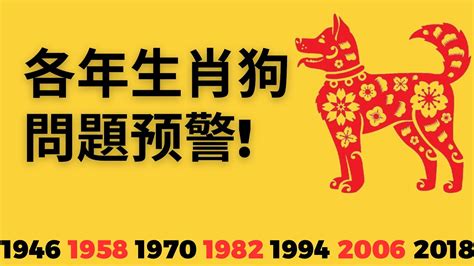 1958屬狗2023運勢|属狗1958年出生的人2023年全年运程运势